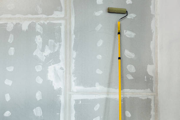 Best Industrial Mold Remediation  in Littlestown, PA