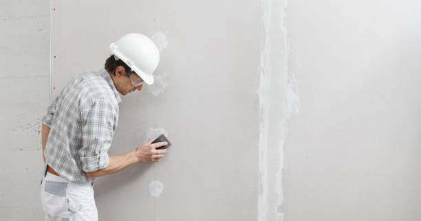 Best Airborne Mold Testing  in Littlestown, PA